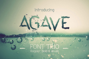 Agave Font Trio: A Versatile Set for Modern Design